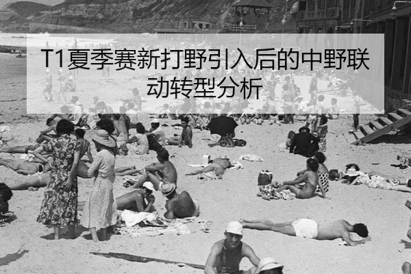 T1夏季赛新打野引入后的中野联动转型分析